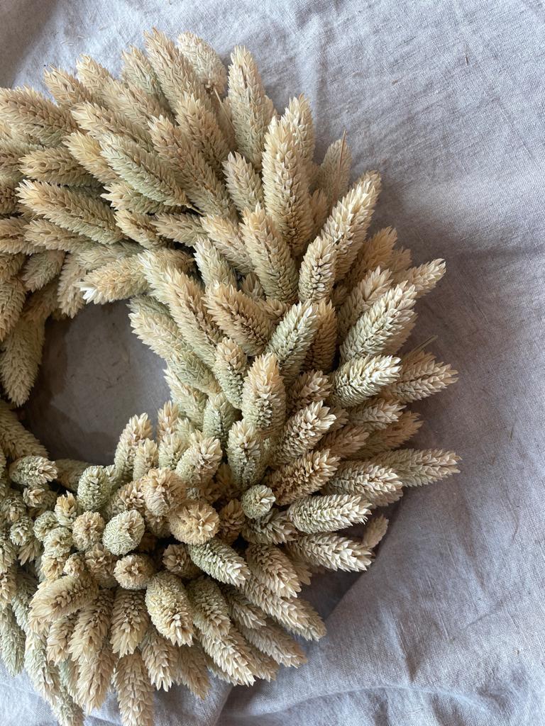 Phalaris Wreath - Small